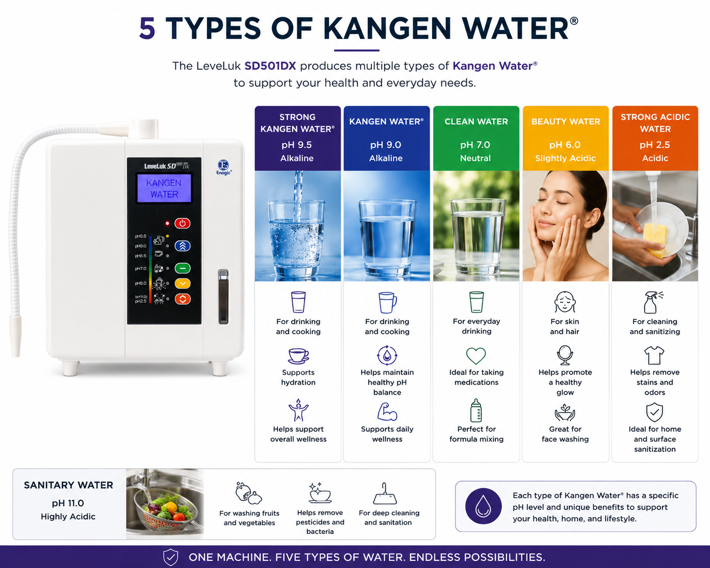 Kangen Water® Leveluk SD501DX – 7-Plate Water Ionizer