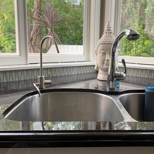 Ionizer Faucet 04 - Satin Nickel